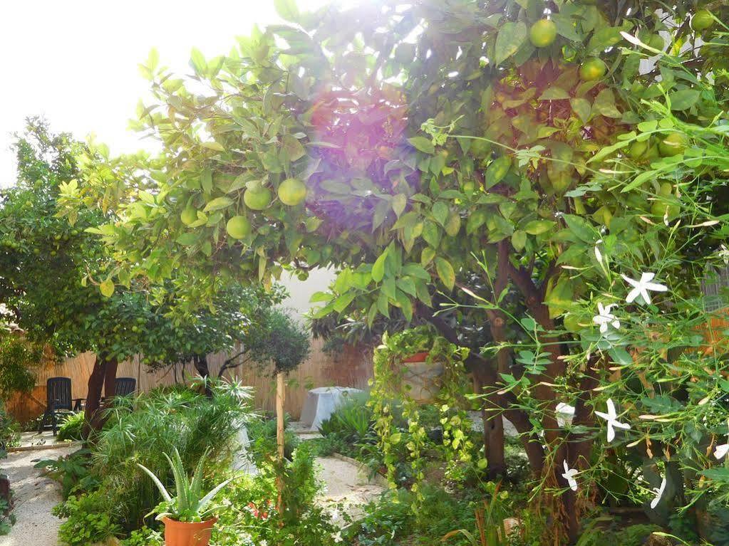 B&B Vinci Noto Extérieur photo